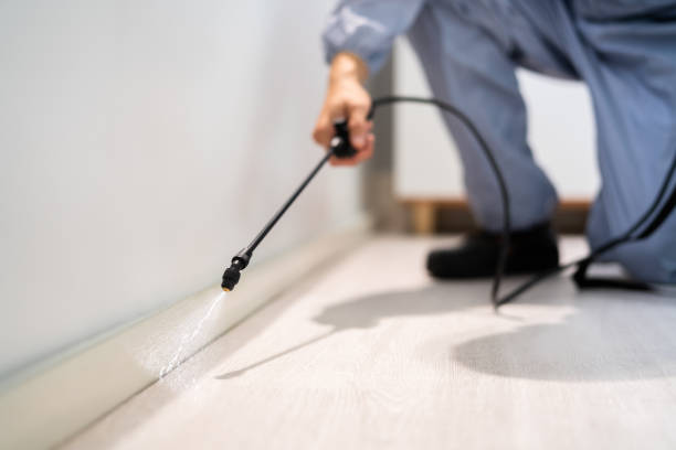 Licensed Pest Control service in Chamberlayne, VA - Nex Pest Control