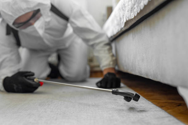 Professional Pest Control technician working in Chamberlayne, VA