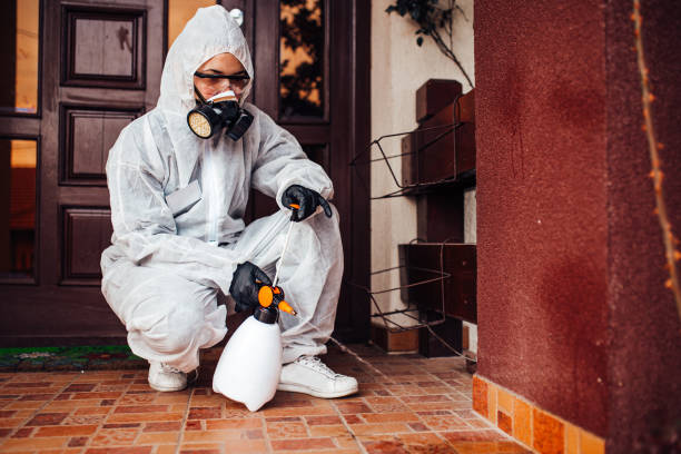 Reliable Rodent Control contractor in Chamberlayne, VA by Nex Pest Control