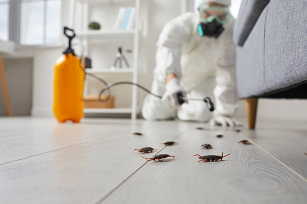 Trusted Rodent Control service in Chamberlayne, VA - Nex Pest Control
